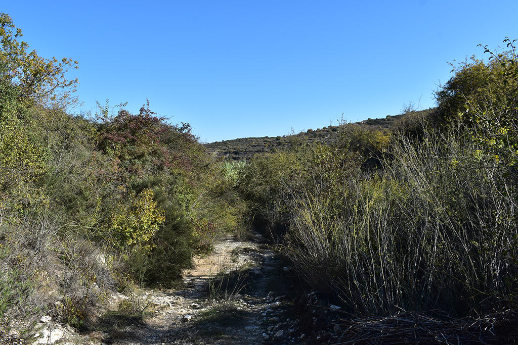 Pano-akourdaleia-nature-trail 36 pano-akourdaleia-nature-trail_36