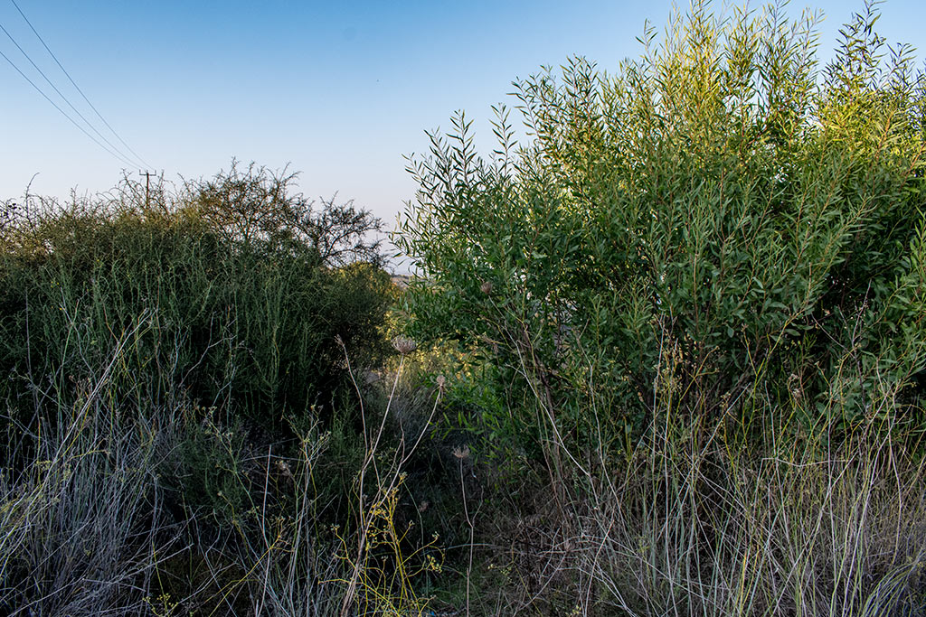 Pano-akourdaleia-nature-trail 41 pano-akourdaleia-nature-trail_41