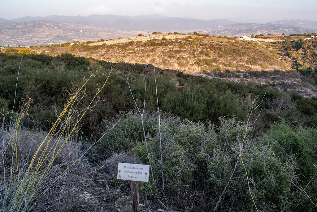 Pano-akourdaleia-nature-trail 46 pano-akourdaleia-nature-trail_46