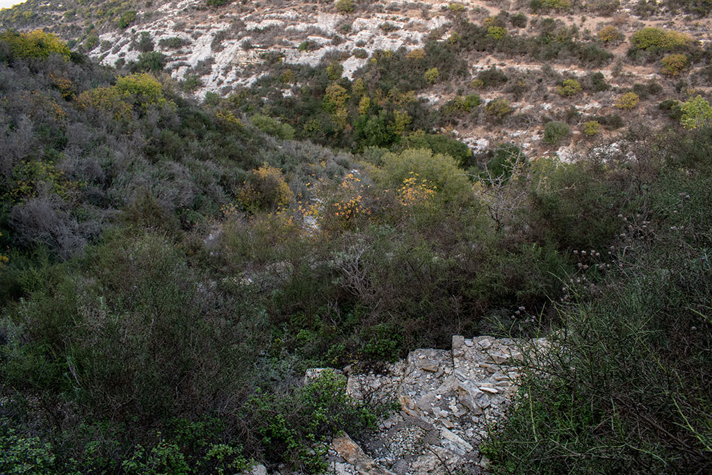 Pano-akourdaleia-nature-trail 54 pano-akourdaleia-nature-trail_54