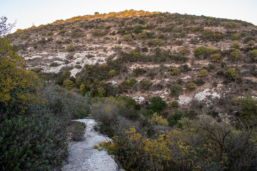 Pano-akourdaleia-nature-trail 55 pano-akourdaleia-nature-trail_55