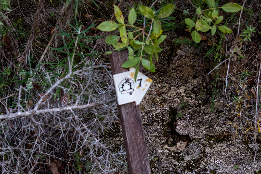 Pano-akourdaleia-nature-trail 62 pano-akourdaleia-nature-trail_62