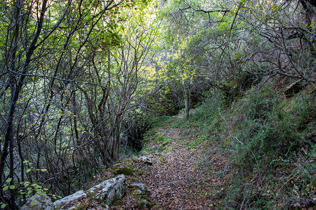 Pano-akourdaleia-nature-trail 63 pano-akourdaleia-nature-trail_63