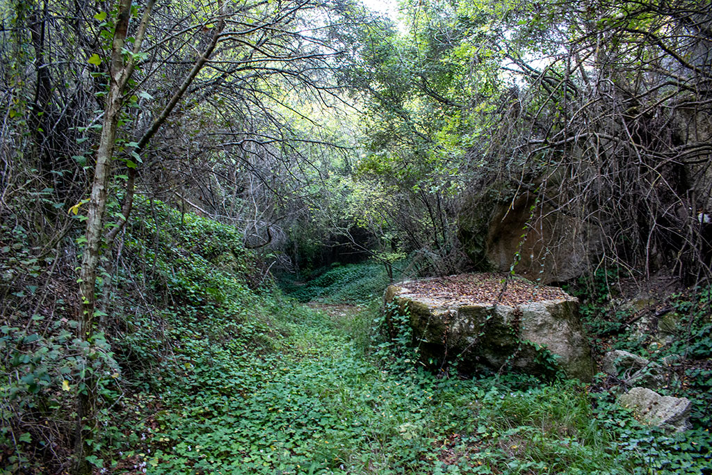 Pano-akourdaleia-nature-trail 65 pano-akourdaleia-nature-trail_65