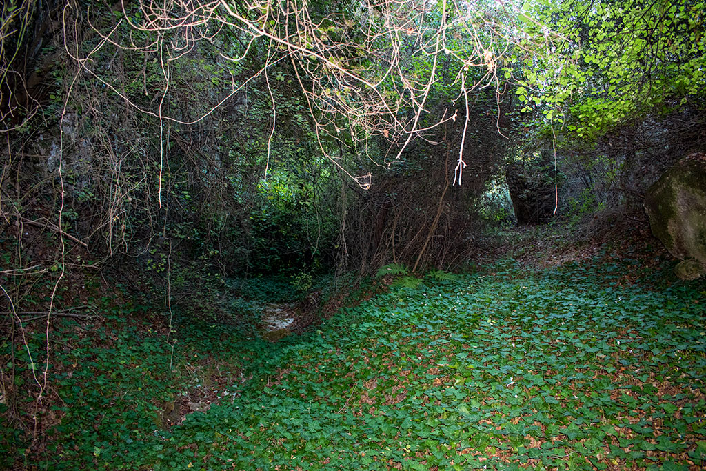 Pano-akourdaleia-nature-trail 66 pano-akourdaleia-nature-trail_66