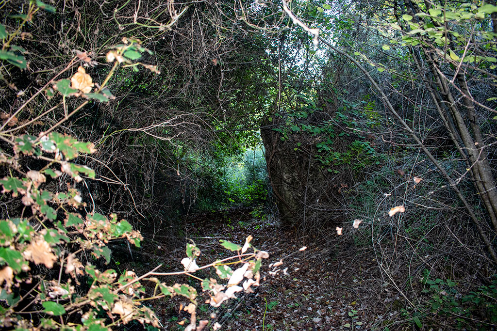 Pano-akourdaleia-nature-trail 67 pano-akourdaleia-nature-trail_67