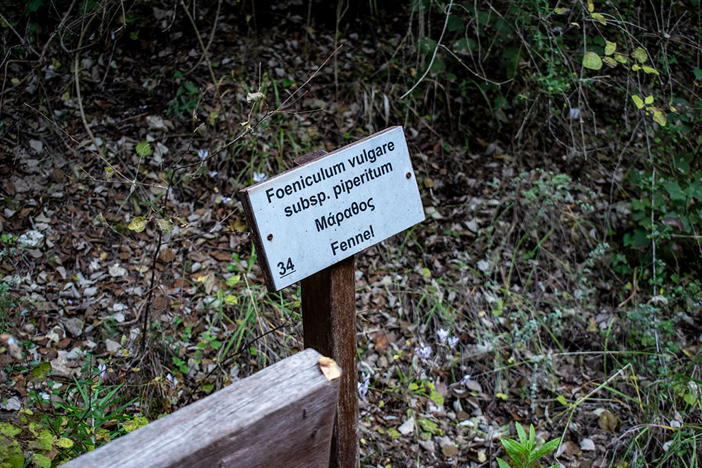 Pano-akourdaleia-nature-trail 69 pano-akourdaleia-nature-trail_69