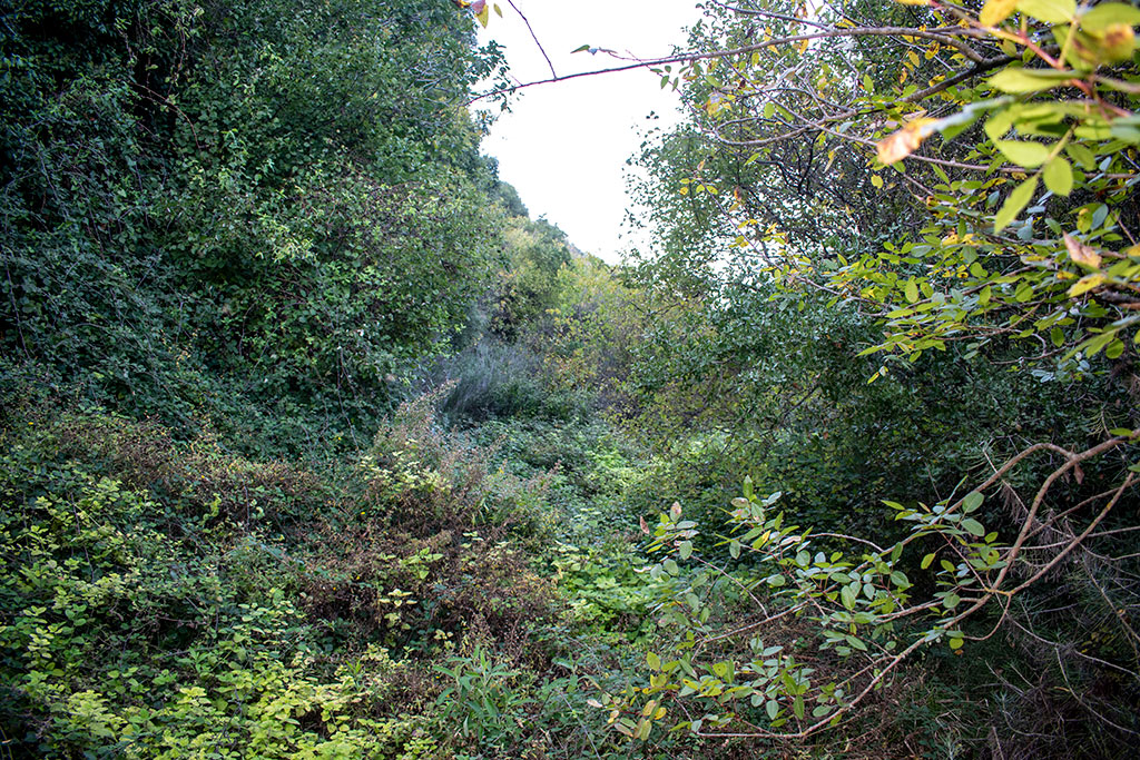Pano-akourdaleia-nature-trail 70 pano-akourdaleia-nature-trail_70