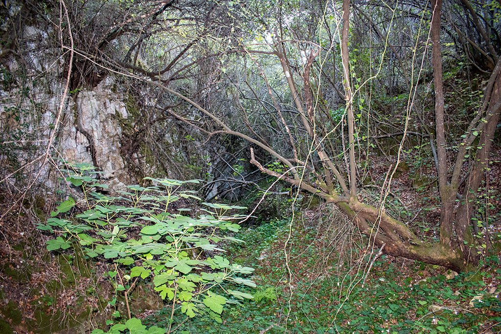 Pano-akourdaleia-nature-trail 71 pano-akourdaleia-nature-trail_71