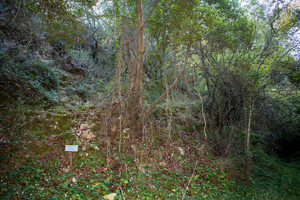 Pano-akourdaleia-nature-trail 72 pano-akourdaleia-nature-trail_72
