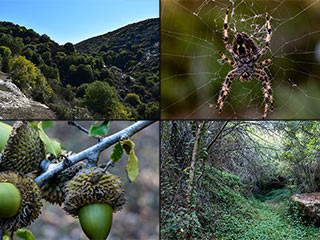 Pano Akourdaleia Nature Trail