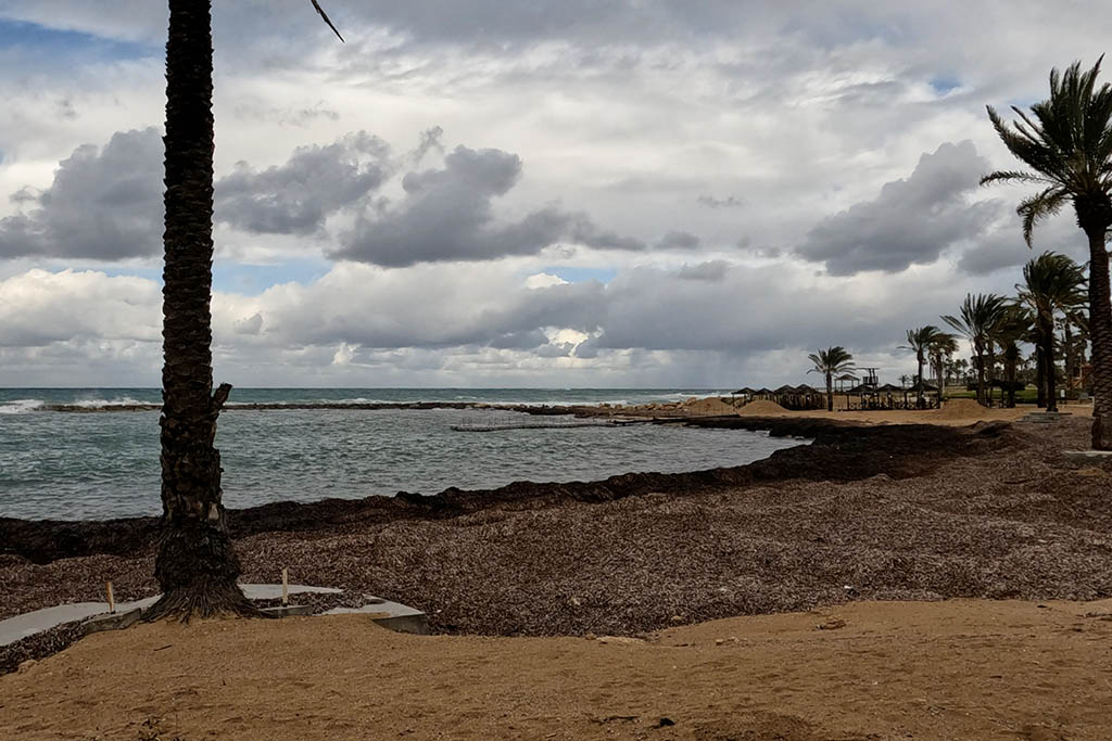 paphos-coast-walk_06