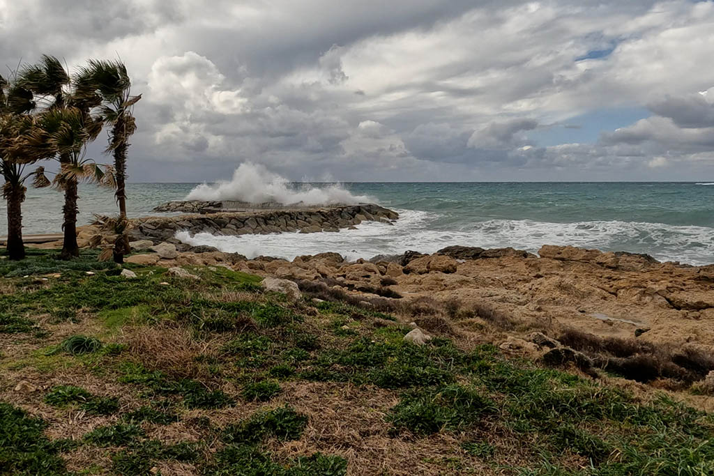paphos-coast-walk_24