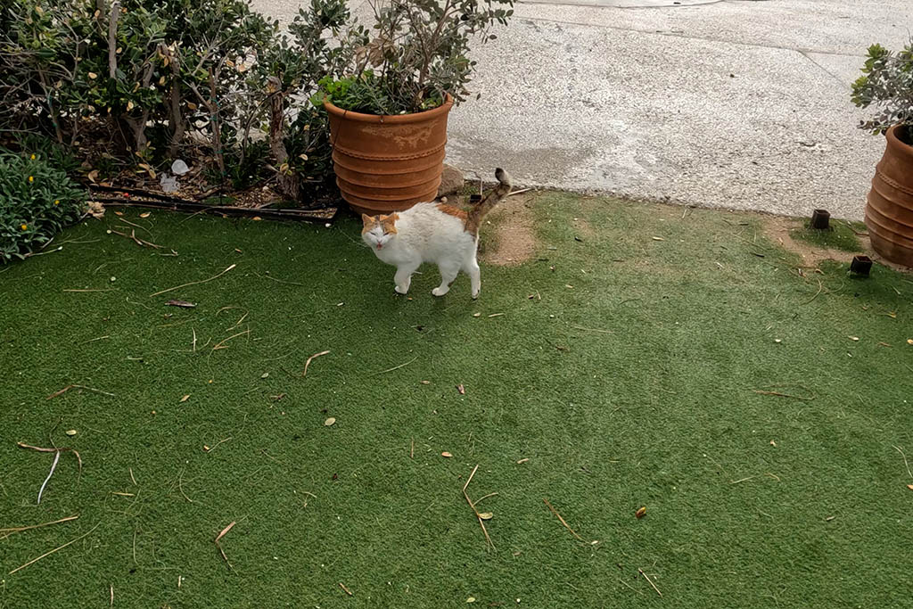 paphos-coast-walk_26