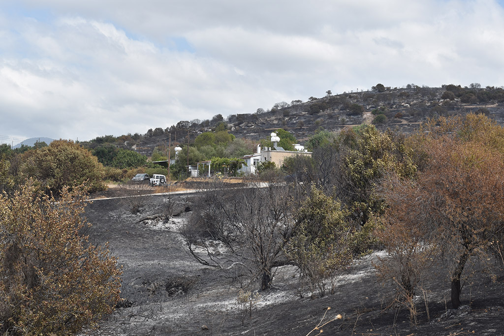 paphos-fires_11