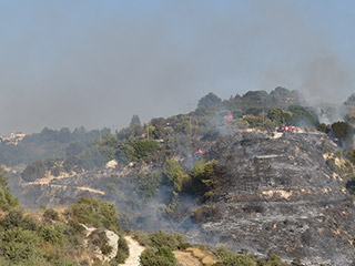 Paphos Fires