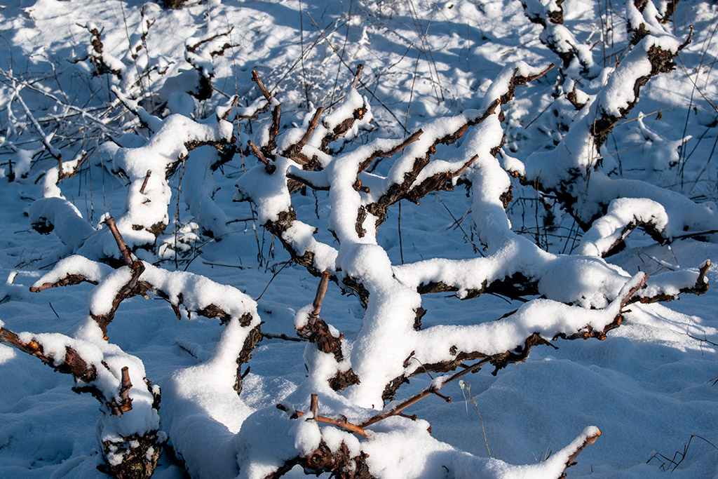Paphos-snow 23 paphos-snow_23