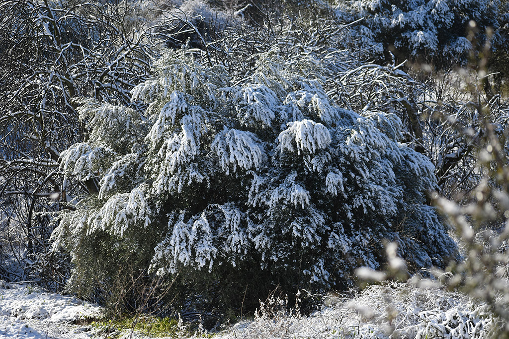 Paphos-snow 25 paphos-snow_25