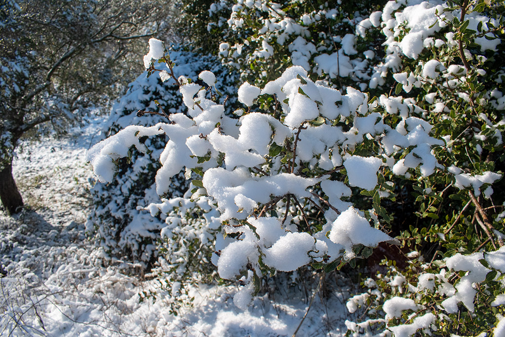 paphos-snow_27