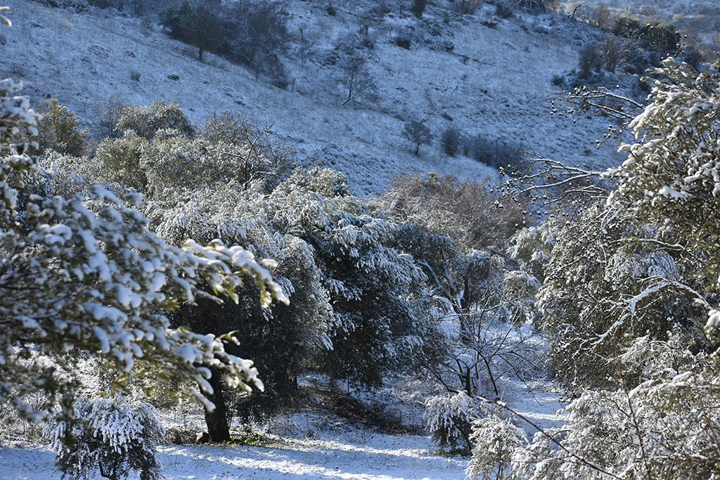 paphos-snow_28