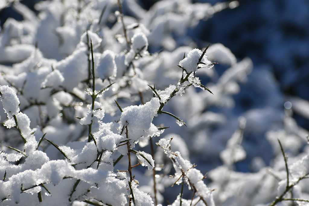 paphos-snow_29