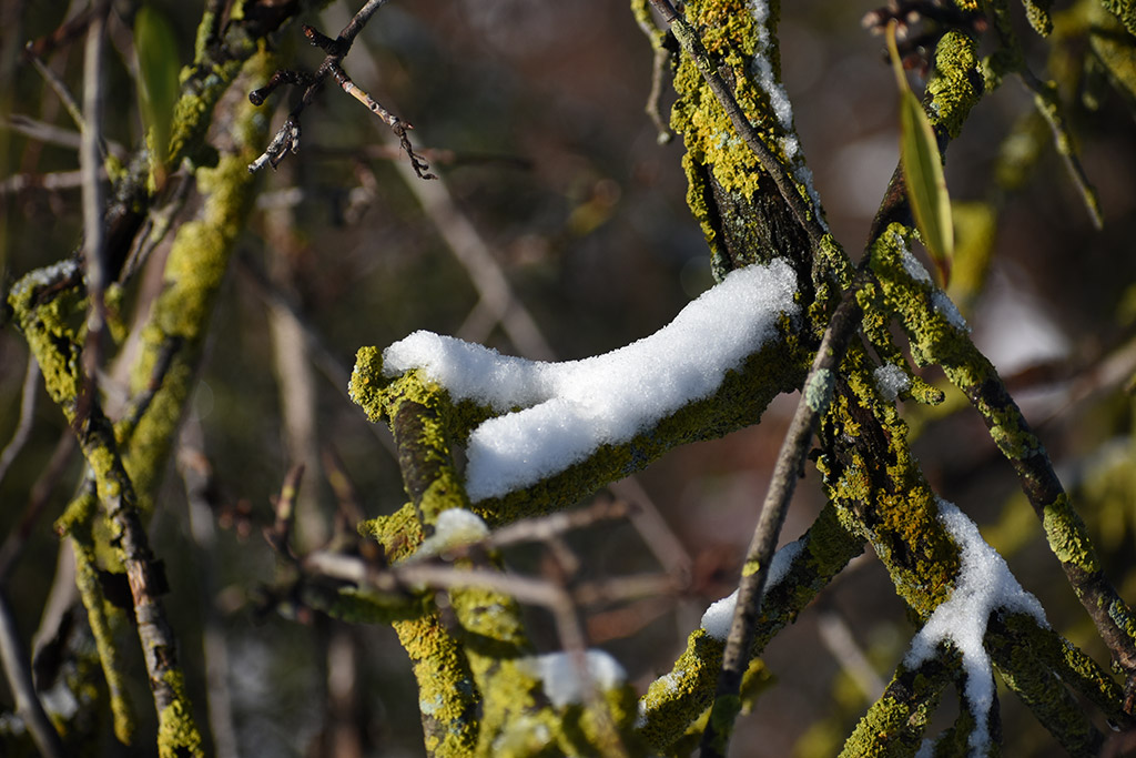 paphos-snow_30
