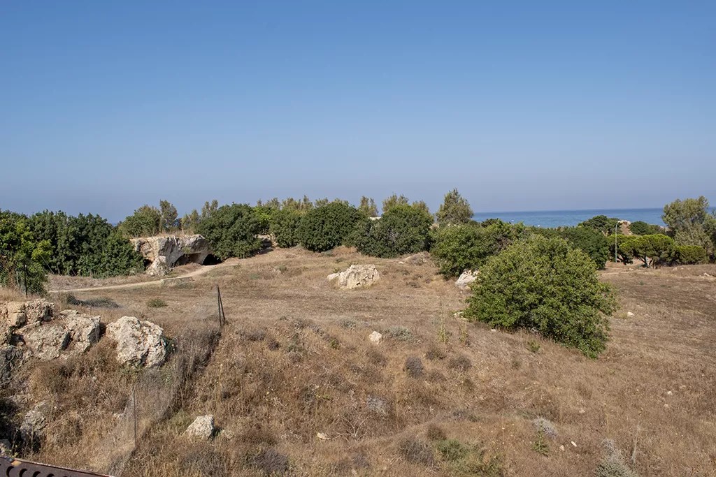 Paphos-walkway-is-open 07 paphos-walkway-is-open_07
