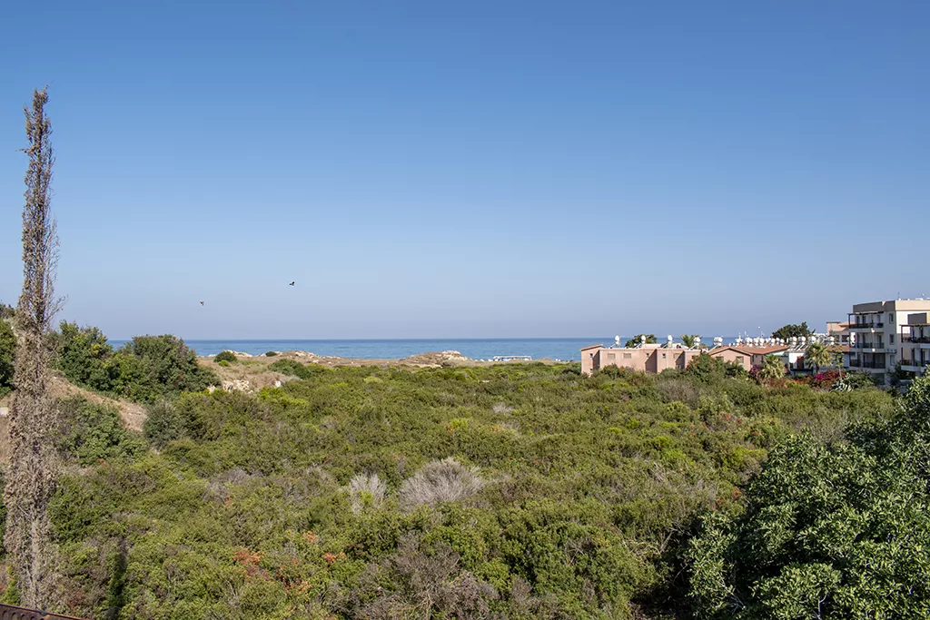 Paphos-walkway-is-open 26 paphos-walkway-is-open_26