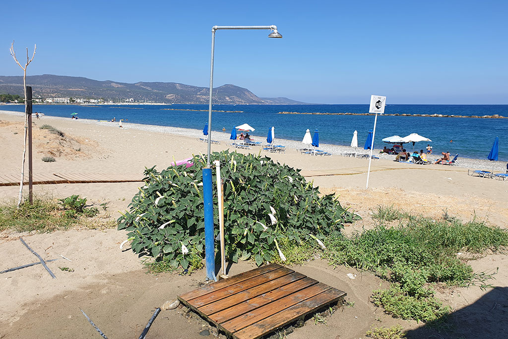 polis-summer_02