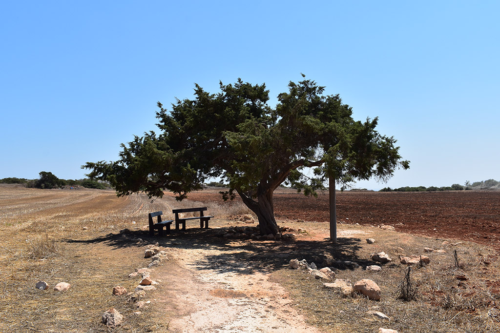 Postcard-from-ayia-napa-2022 38 postcard-from-ayia-napa-2022_38