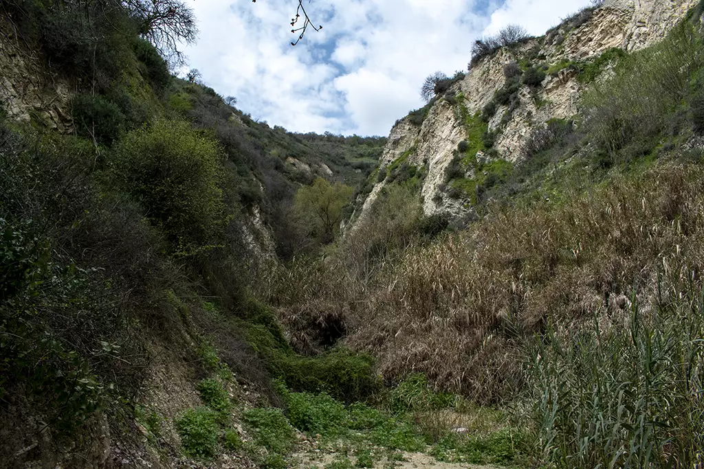 Theletra-waterfall 22 theletra-waterfall_22