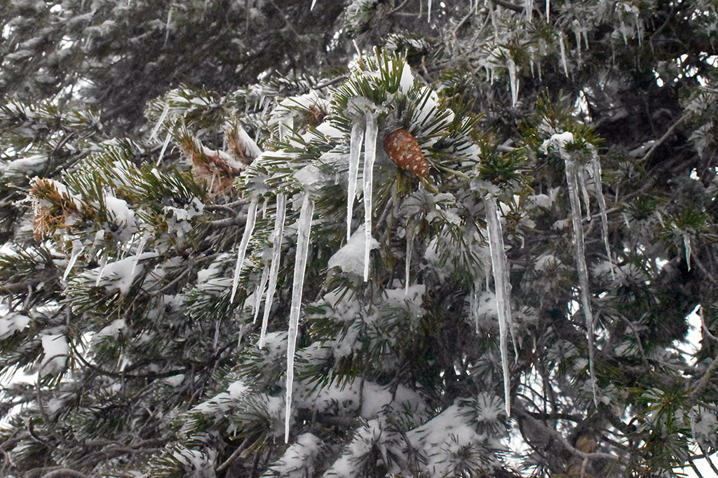 Troodos-ice-festival 01 troodos-ice-festival_01