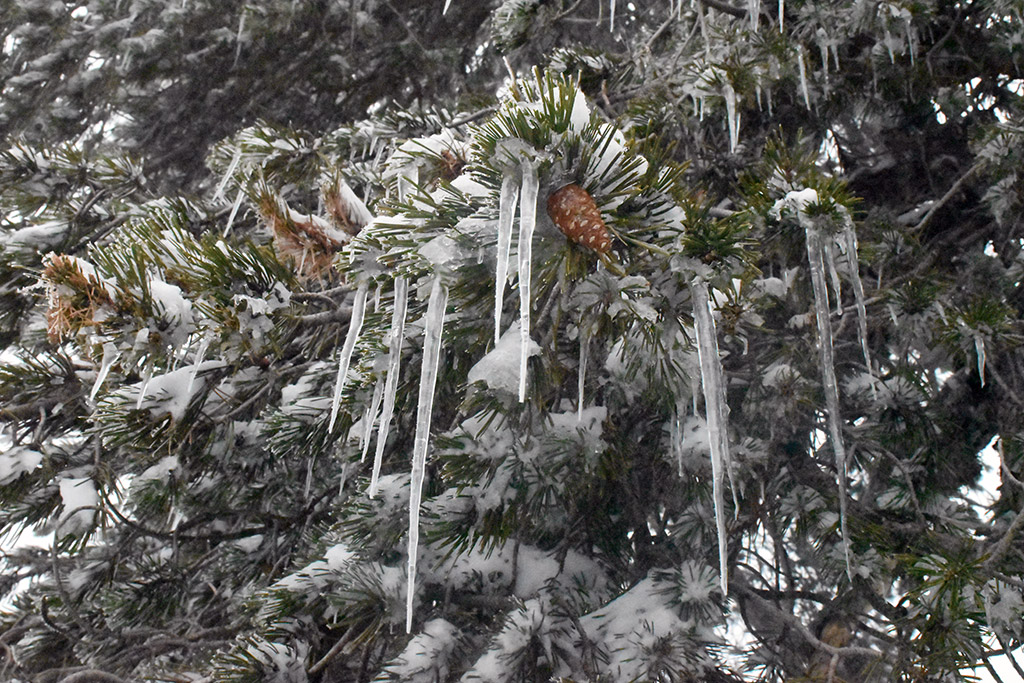 troodos-ice-festival_01