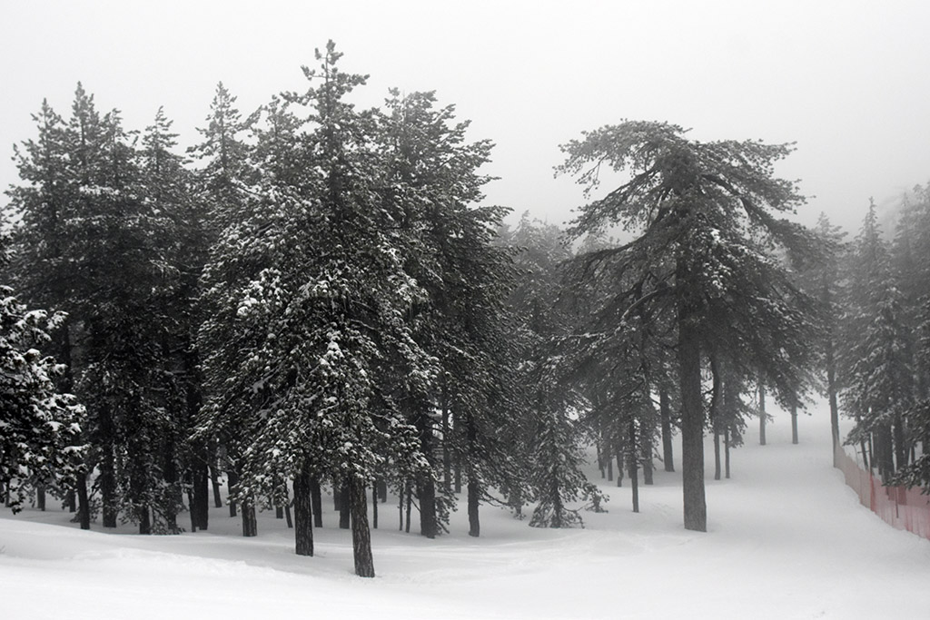 troodos-ice-festival_21
