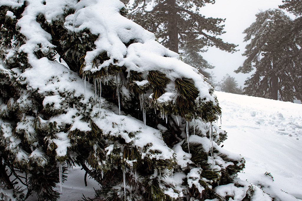 troodos-ice-festival_24