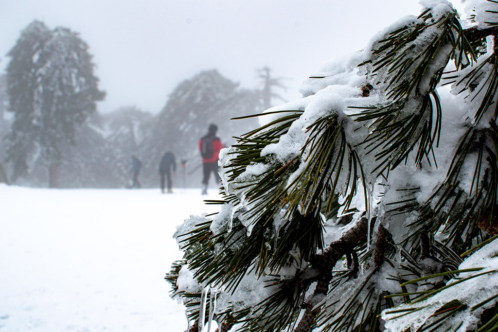 troodos-ice-festival_25