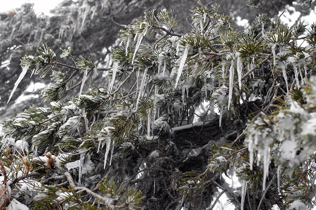 Troodos-ice-festival 27 troodos-ice-festival_27