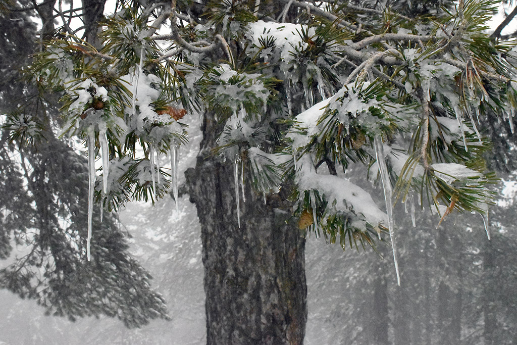 troodos-ice-festival_32