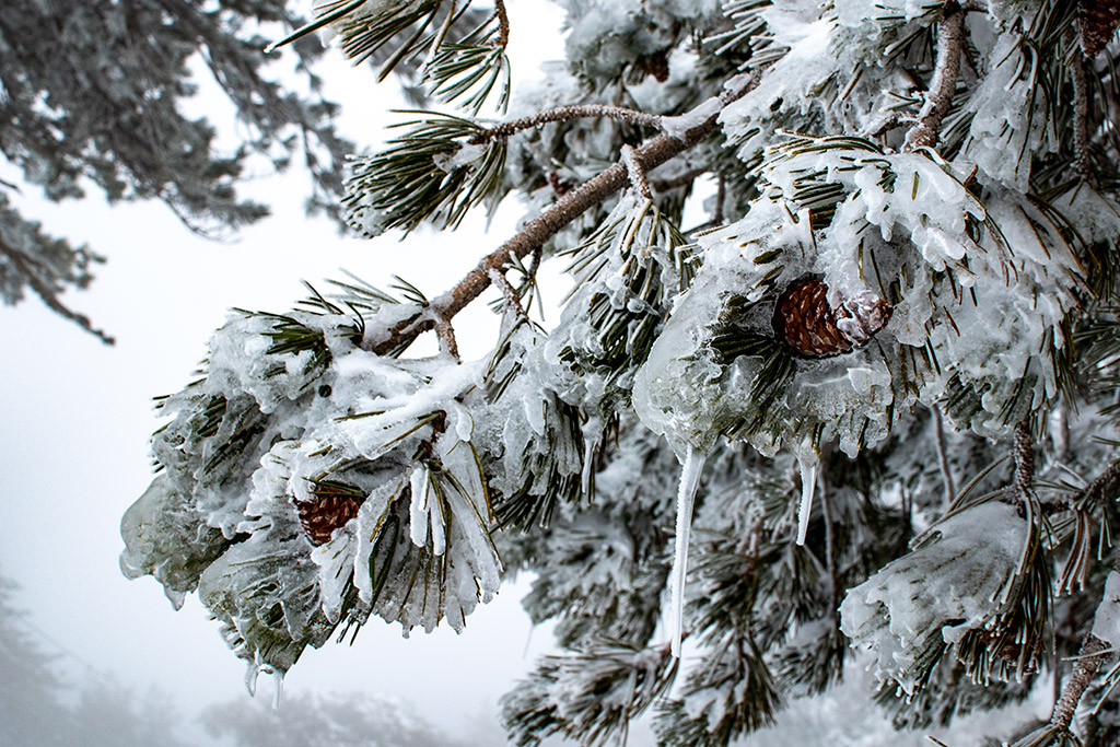 troodos-ice-festival_35