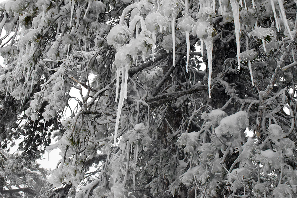 troodos-ice-festival_36