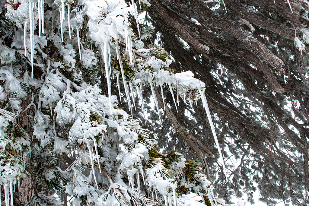 troodos-ice-festival_37