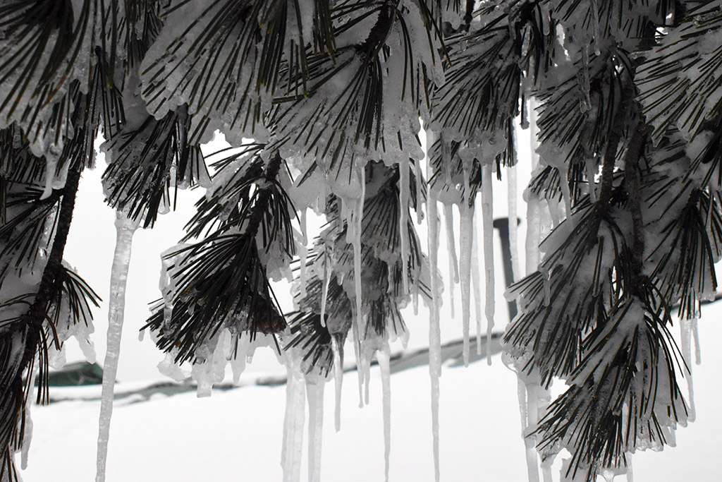 Troodos-ice-festival 44 troodos-ice-festival_44