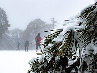 The Troodos Ice Festival