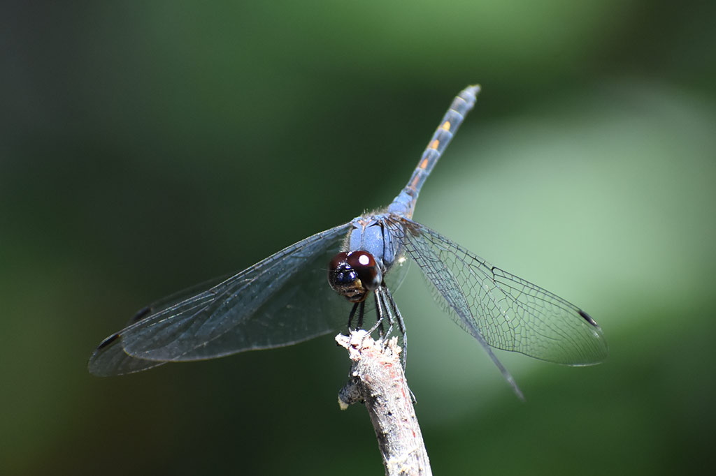 xeros-river-offroad-adventure_36