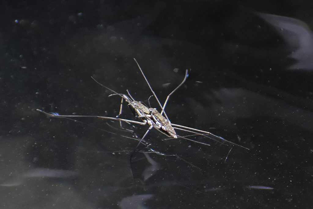 xeros-river-offroad-adventure_39