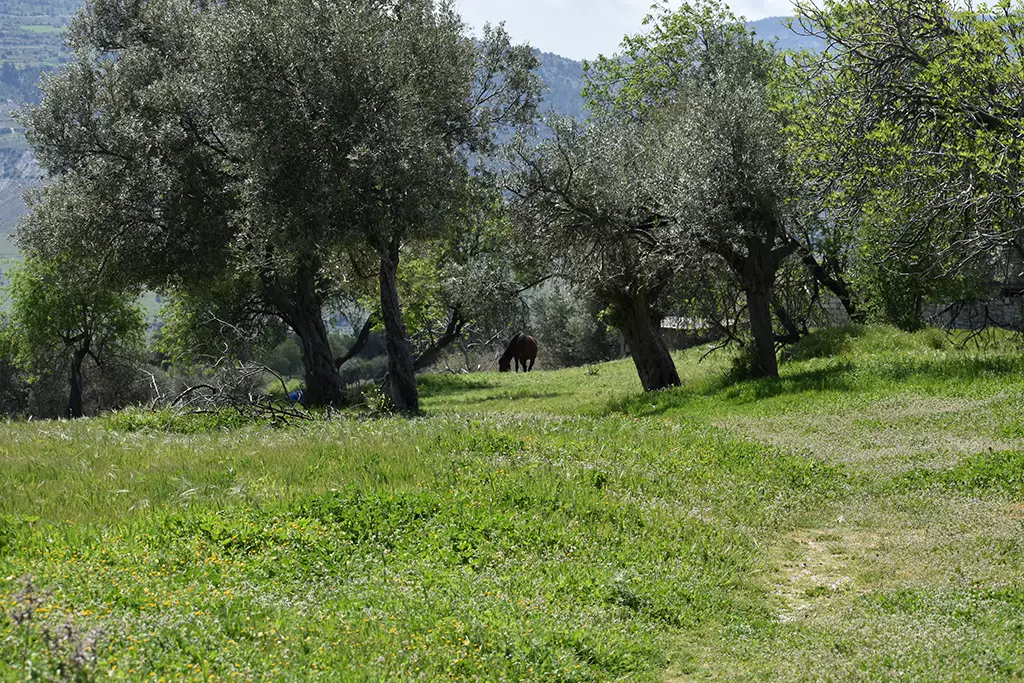 Xeros-valley-scenery 13 xeros-valley-scenery_13