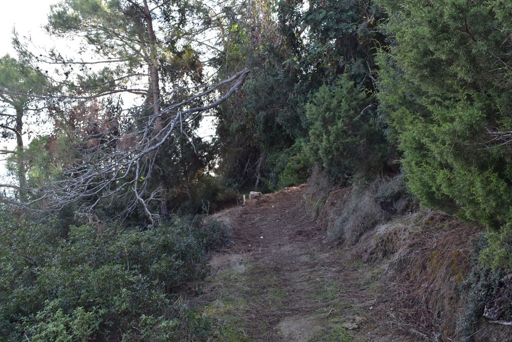 aphrodites-trail_12