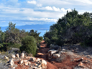 Aphrodite's Trail