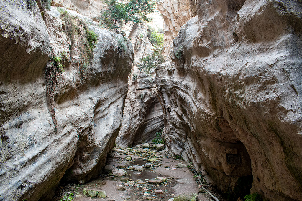 Avakas-gorge 10 avakas-gorge_10