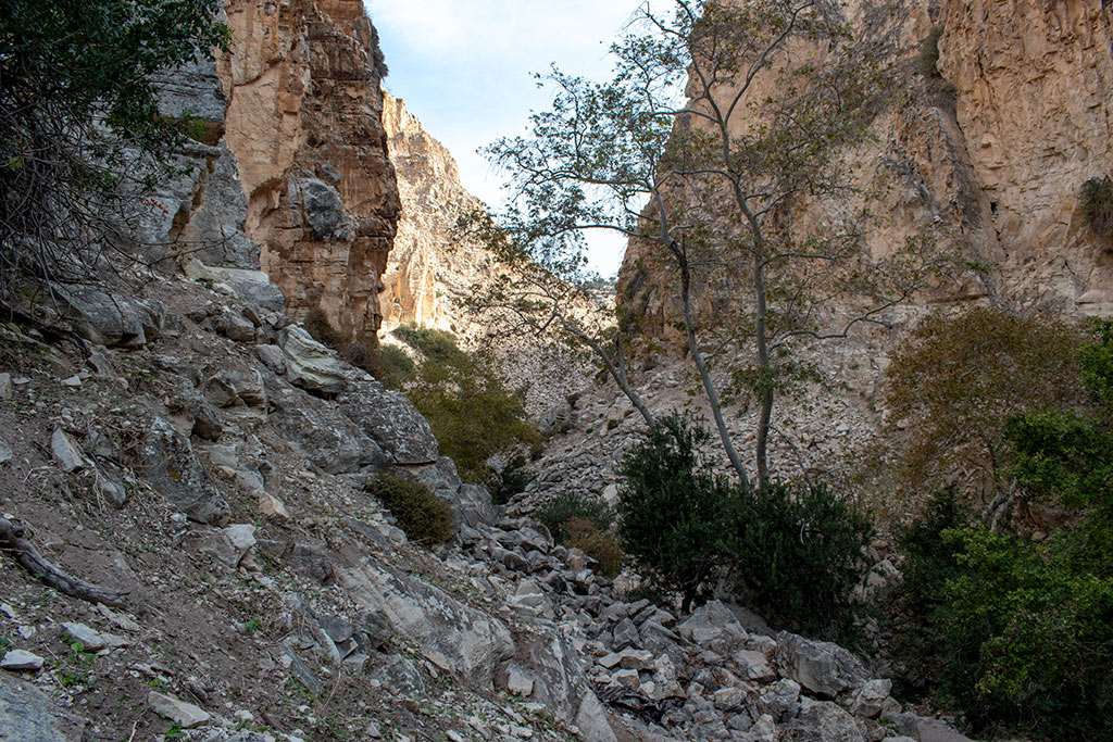 Avakas-gorge 15 avakas-gorge_15